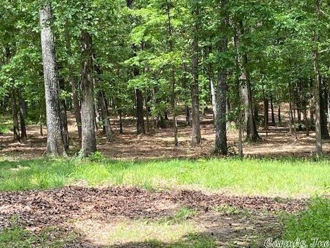 770 Davidson Cir, Edgemont, AR 72044 photo 10