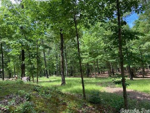 770 Davidson Cir, Edgemont, AR 72044 photo 5