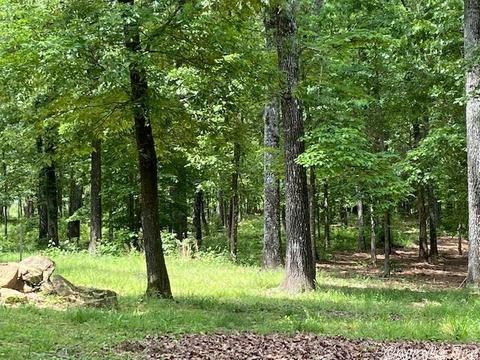 770 Davidson Cir, Edgemont, AR 72044 photo 9