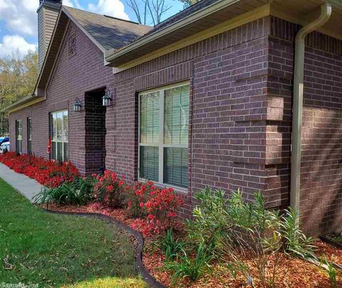 168 Pickles Gap Rd, Conway, AR 72032 photo 3