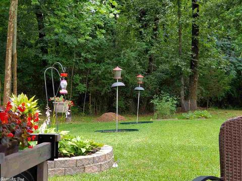 168 Pickles Gap Rd, Conway, AR 72032 photo 30