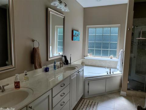 168 Pickles Gap Rd, Conway, AR 72032 photo 13