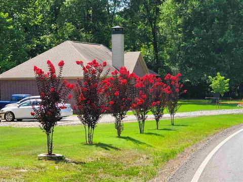 168 Pickles Gap Rd, Conway, AR 72032 photo 4