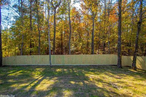 1619 Overview Dr, Benton, AR 72015 photo 29