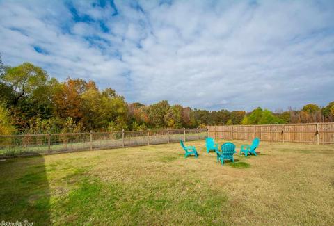 3248 Sage Grass Ln, Alexander, AR 72002 photo 24