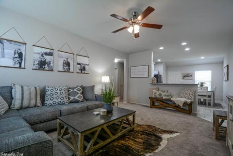 3248 Sage Grass Ln, Alexander, AR 72002 photo 4