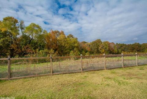 3248 Sage Grass Ln, Alexander, AR 72002 photo 25