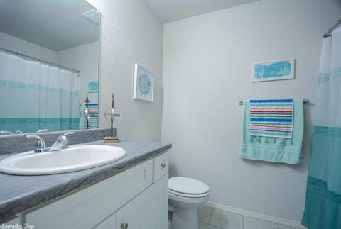 3248 Sage Grass Ln, Alexander, AR 72002 photo 21