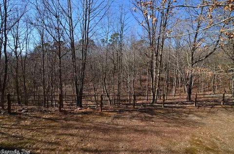 415 Polk Road 72, Mena, AR 71953 photo 26