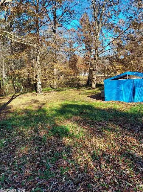 6754 E Draw, Mabelvale, AR 72103 photo 27