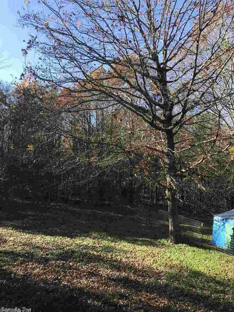 6754 E Draw, Mabelvale, AR 72103 photo 29