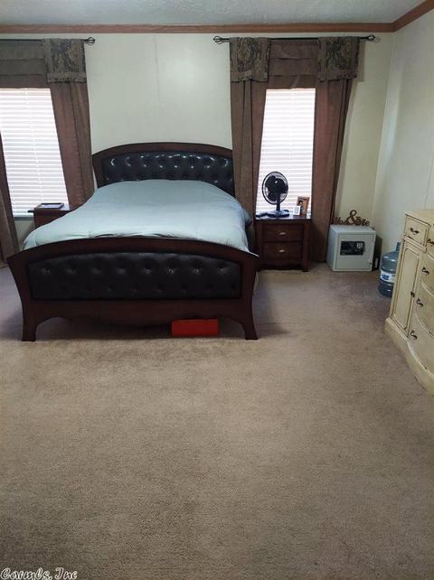 6754 E Draw, Mabelvale, AR 72103 photo 17