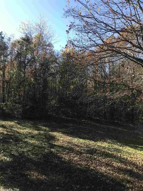 6754 E Draw, Mabelvale, AR 72103 photo 28