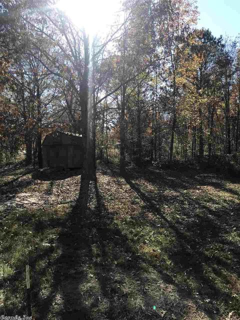 6754 E Draw, Mabelvale, AR 72103 photo 25
