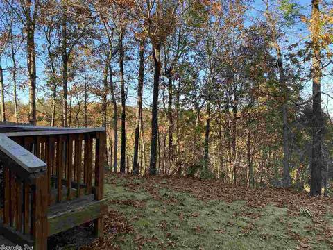 1005 Skyline, Alexander, AR 72002 photo 23