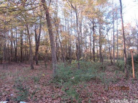 2302 Ray Sowell, Austin, AR 72007 photo 13