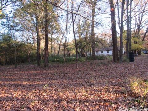 2302 Ray Sowell, Austin, AR 72007 photo 28
