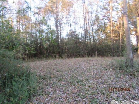 2302 Ray Sowell, Austin, AR 72007 photo 34