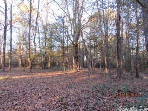 2302 Ray Sowell, Austin, AR 72007 photo 20