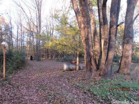 2302 Ray Sowell, Austin, AR 72007 photo 14