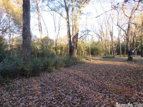 2302 Ray Sowell, Austin, AR 72007 photo 32