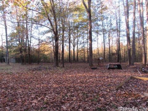 2302 Ray Sowell, Austin, AR 72007 photo 24