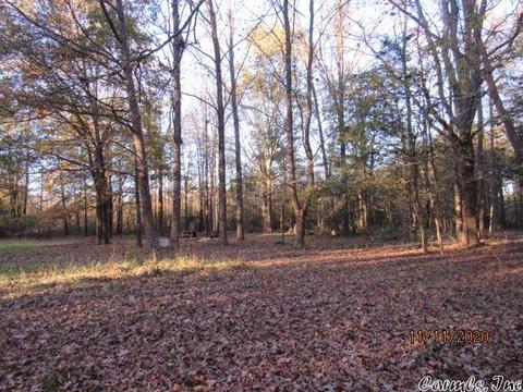 2302 Ray Sowell, Austin, AR 72007 photo 21