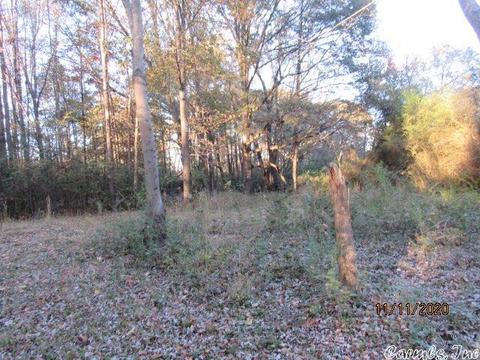 2302 Ray Sowell, Austin, AR 72007 photo 35