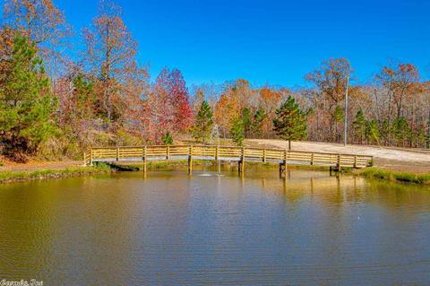 9190 Steel Bridge Rd, Benton, AR 72019 photo 3
