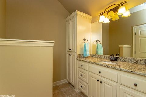 8026 Ridgestone Cv, Alexander, AR 72002 photo 29