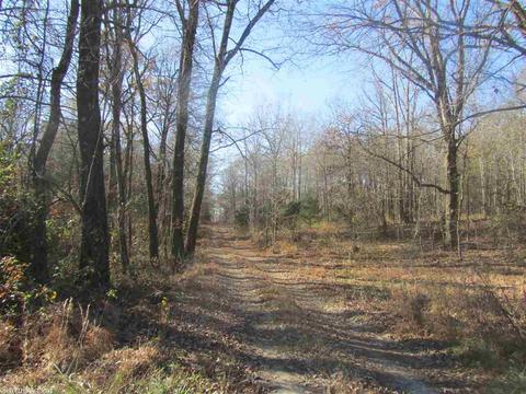 337 White Rd, Rose Bud, AR 72137 photo 25
