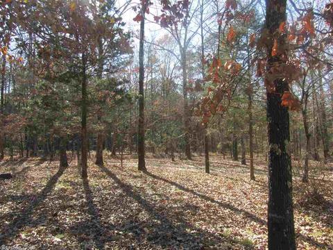 337 White Rd, Rose Bud, AR 72137 photo 26
