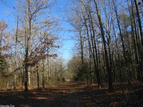 337 White Rd, Rose Bud, AR 72137 photo 28