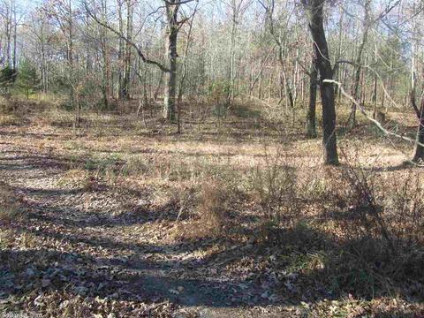 337 White Rd, Rose Bud, AR 72137 photo 27