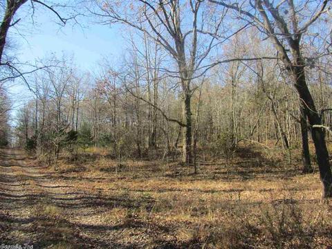 337 White Rd, Rose Bud, AR 72137 photo 30