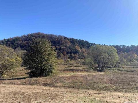 tbd Goss Rd, Mount Ida, AR 71957 photo 5