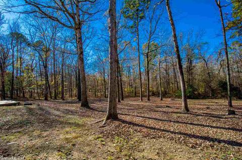 3122 Sparks Rd, Alexander, AR 72002 photo 35