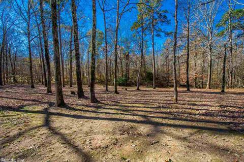 3122 Sparks Rd, Alexander, AR 72002 photo 40