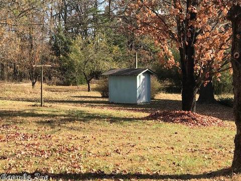 250 Polk 199, Mena, AR 71953 photo 5