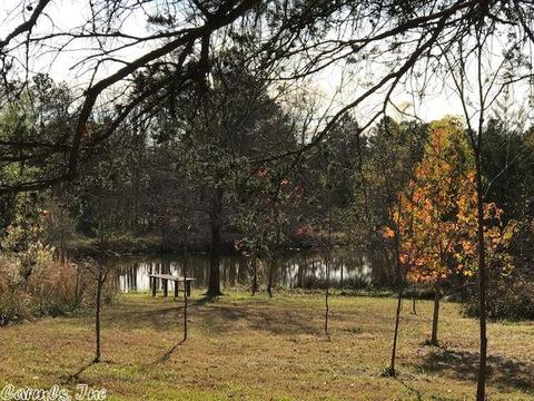 250 Polk 199, Mena, AR 71953 photo 4