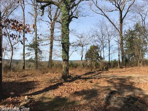 250 Polk 199, Mena, AR 71953 photo 6