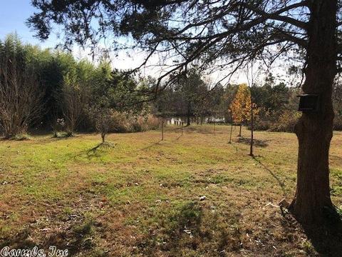 250 Polk 199, Mena, AR 71953 photo 3