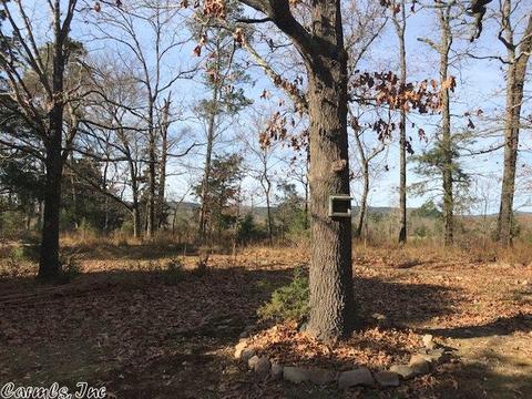 250 Polk 199, Mena, AR 71953 photo 7