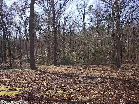 7151 Mill, Mabelvale, AR 72103 photo 7