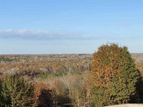 125 North Hts, Cabot, AR 72023 photo 4