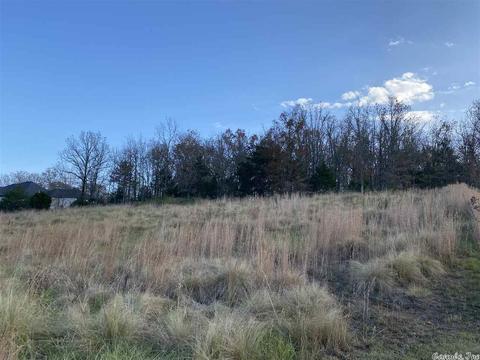 125 North Hts, Cabot, AR 72023 photo 7