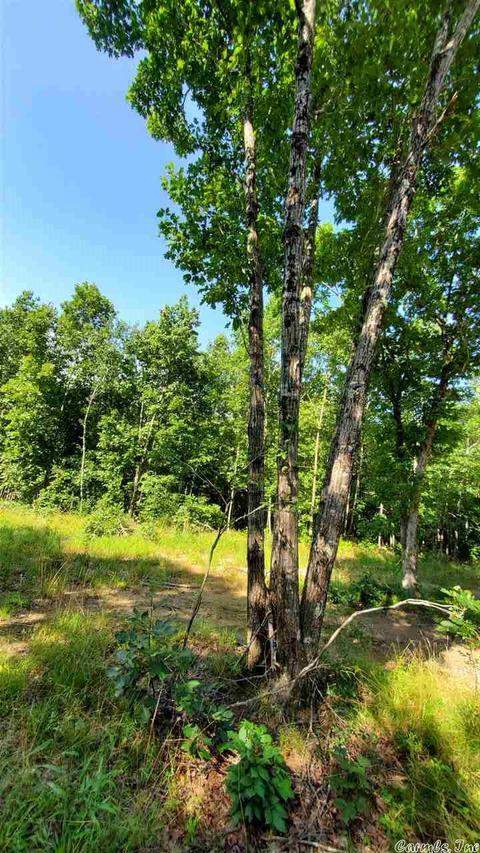7074 Meadow Creek Rd, Fox, AR 72051 photo 1