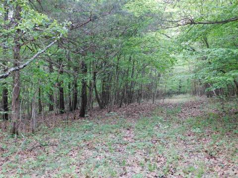 581 Libby Trl, Maynard, AR 72444 photo 1