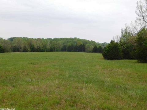 581 Libby Trl, Maynard, AR 72444 photo 19