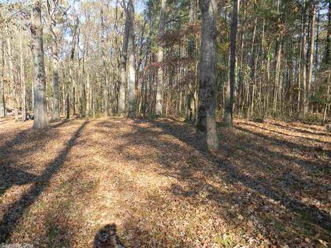 3809 Community Rd, Pine Bluff, AR 71603 photo 23